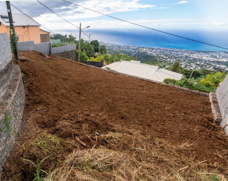 Bois de Nèfles SainteClotilde 13 rue de Paris