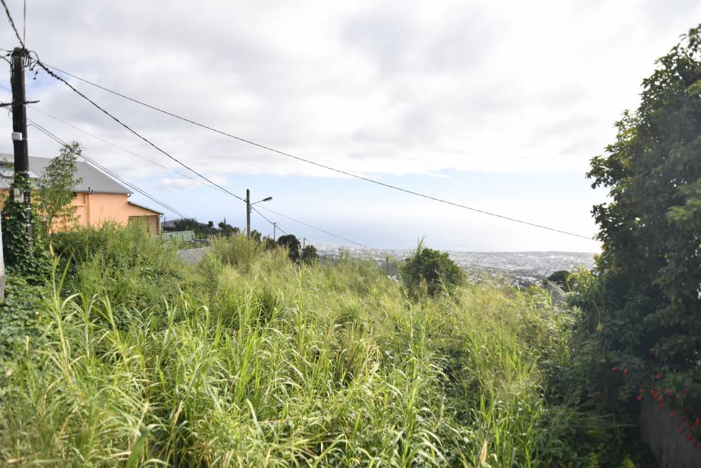 Bois de Nèfles SainteClotilde 13 rue de Paris